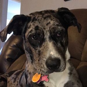 Meet your Posher, Seth